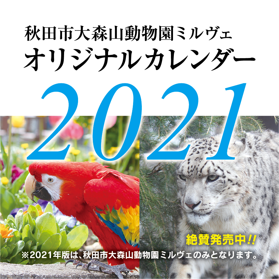 秋田市大森山動物園ミルヴェ　オリジナルカレンダー2022