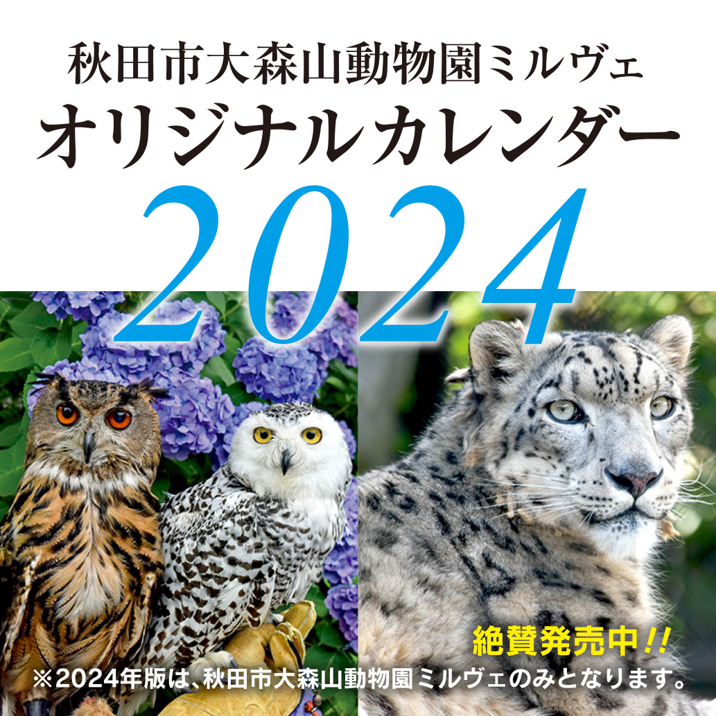 秋田市大森山動物園ミルヴェ　オリジナルカレンダー2024